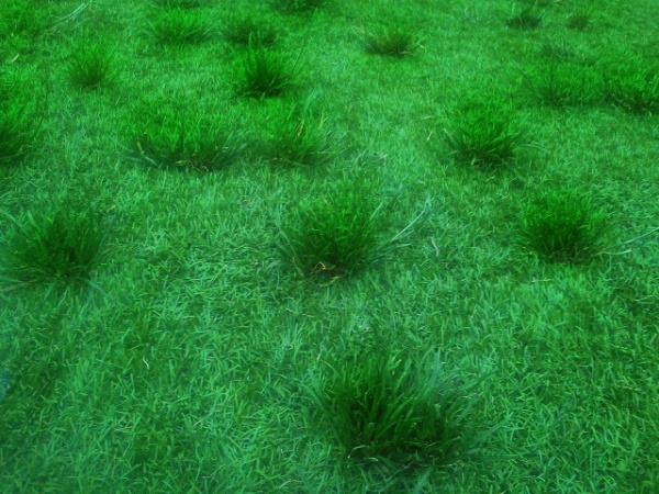 __ 2