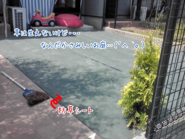 防草シート