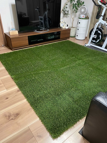 室内に人工芝を敷いたリラックス空間 ナチュラルで落ち着く部屋