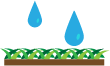 雨