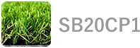 SB20CP1