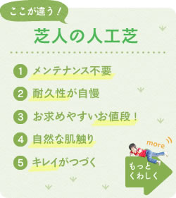 芝人の人工芝