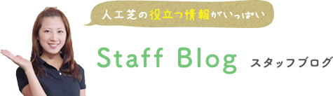 スタッフブログ