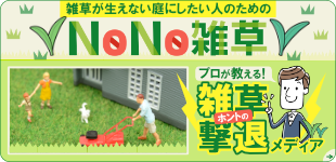 プロが教える!ホントの雑草撃退メディア